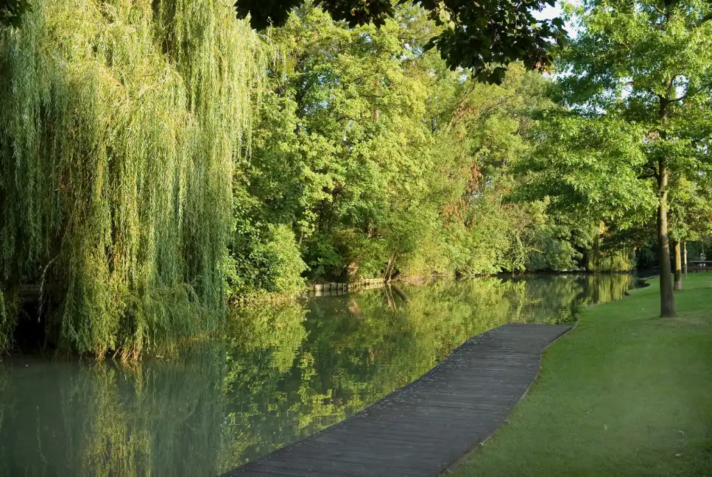 La Marne à Créteil