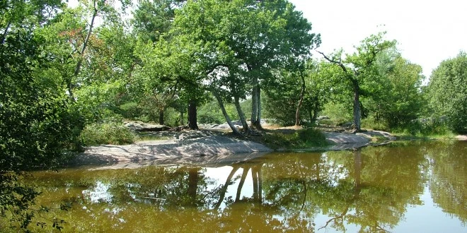 La Seine à Fontainebleau